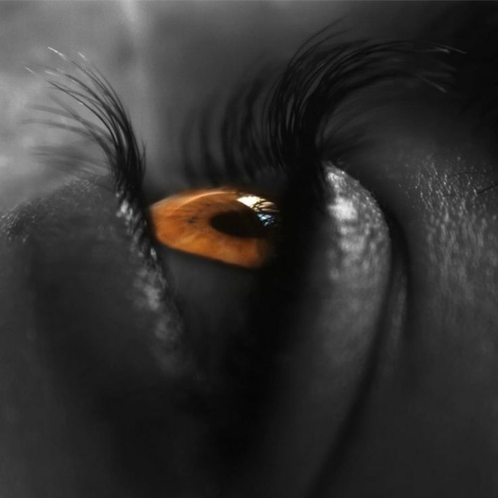 Photograph by mariana munoz