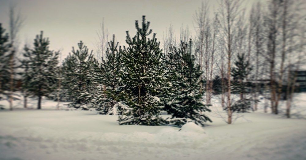 Photograph by Иван Соловьев