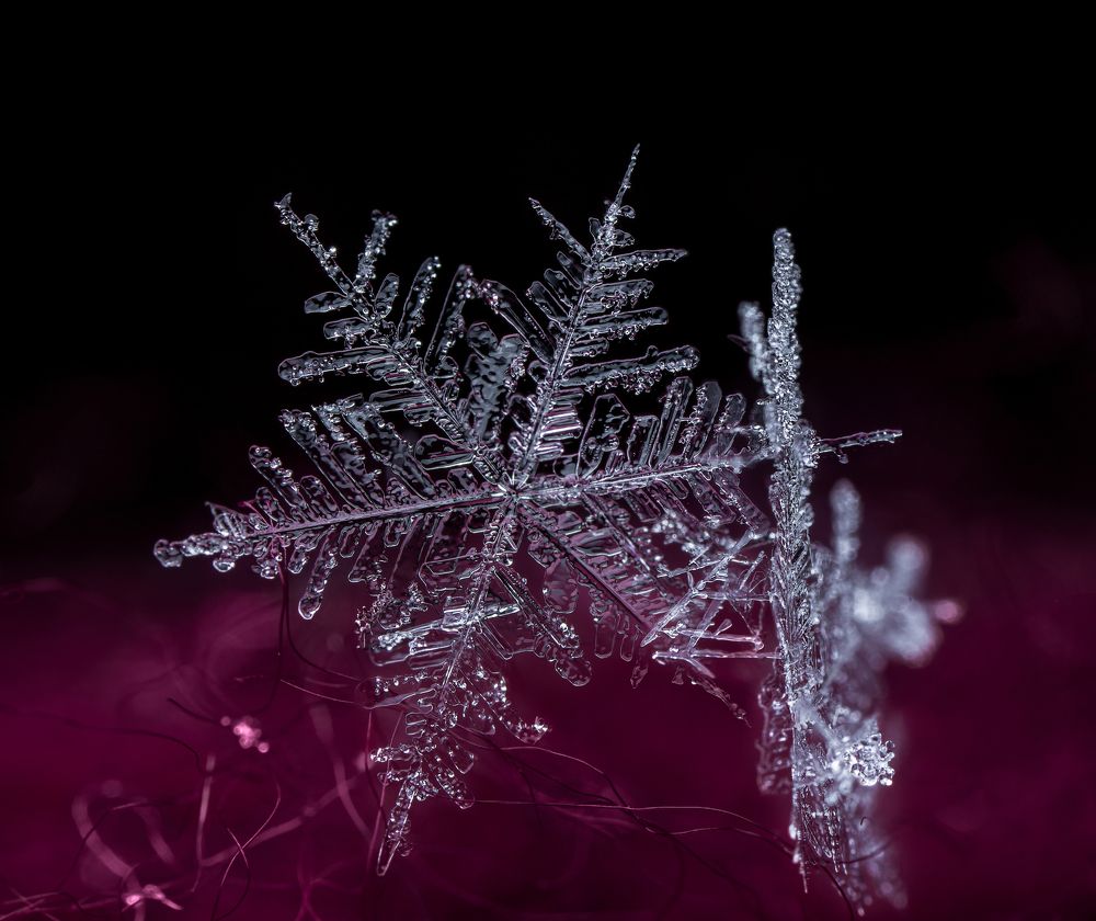 Фотография автора Dolli Pogrebnaya