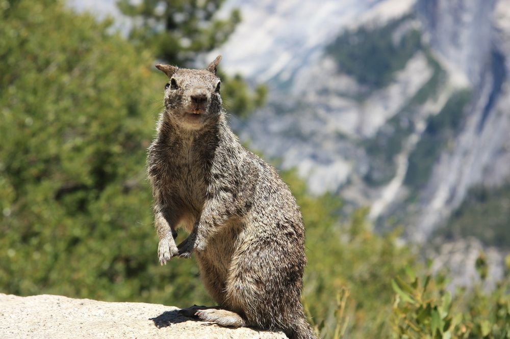 Photograph by Людмила Травина