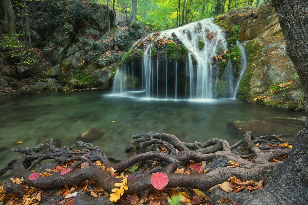 Photograph by Светлана Сагайдачная