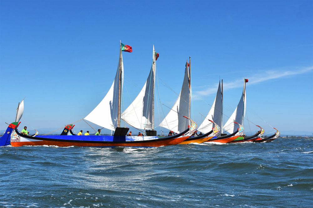 Moliceiro Boats ... The natural beauty of the Ria