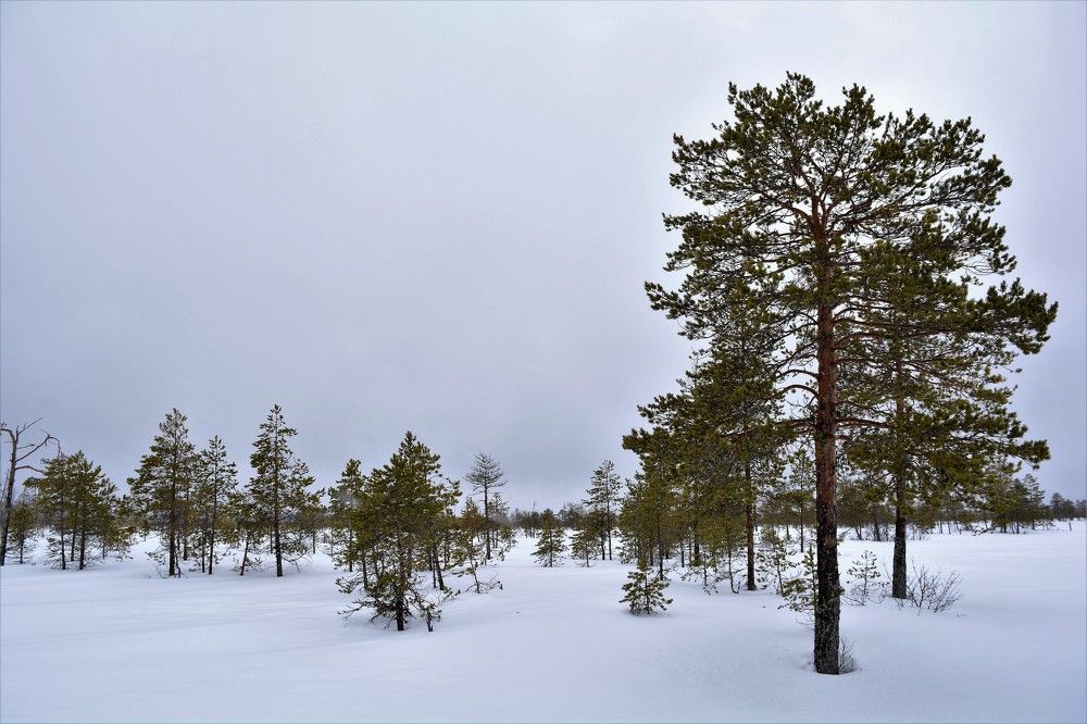 Фотография автора Андрей Глинский