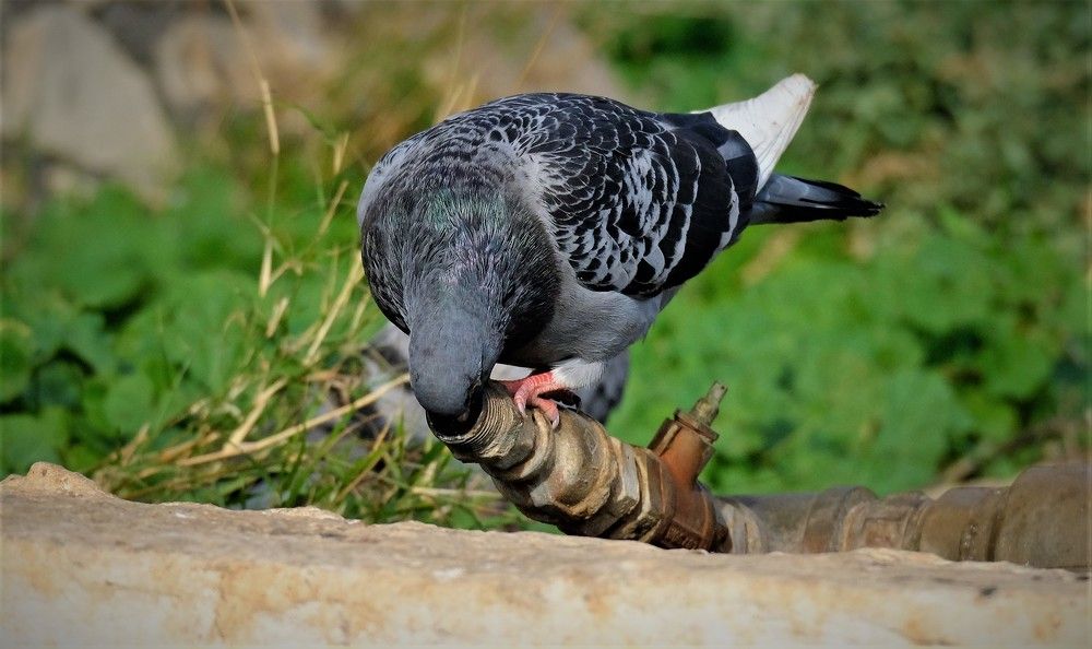 Photograph by Effie Zacharia