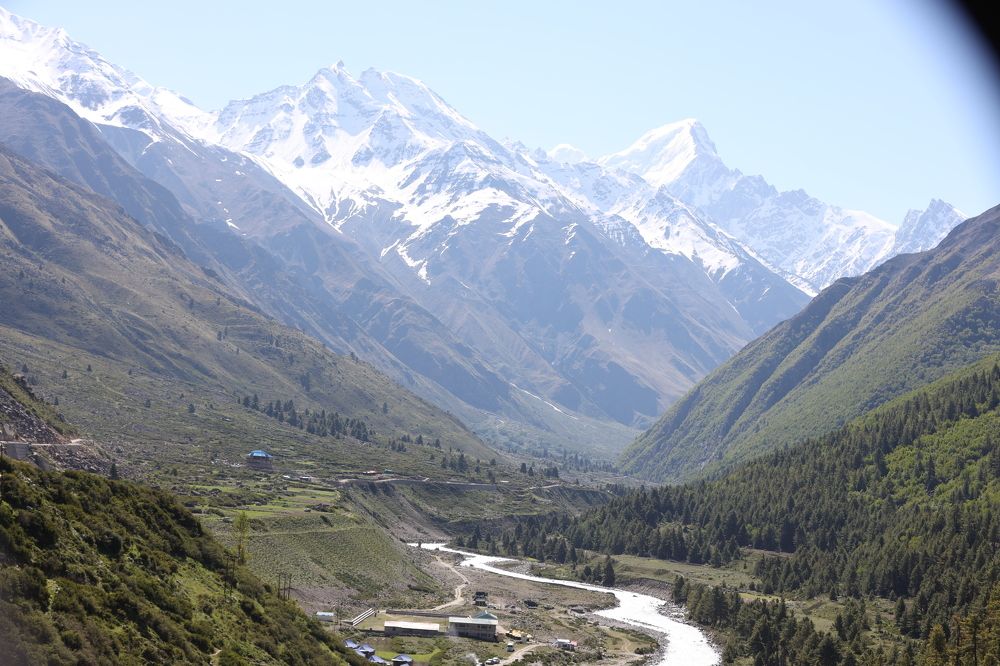 Фотография автора Pradeep Plaha