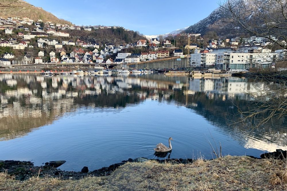 When the city is in harmony with nature