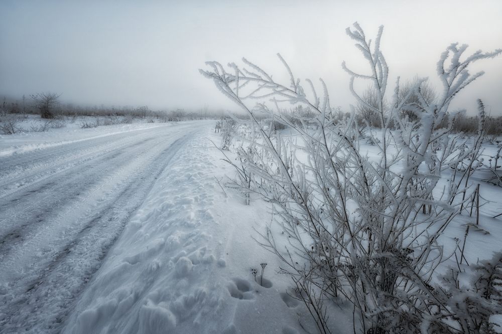 Морозный путь