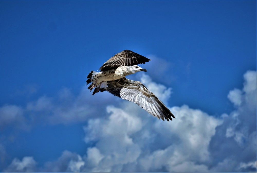 Photograph by Effie Zacharia