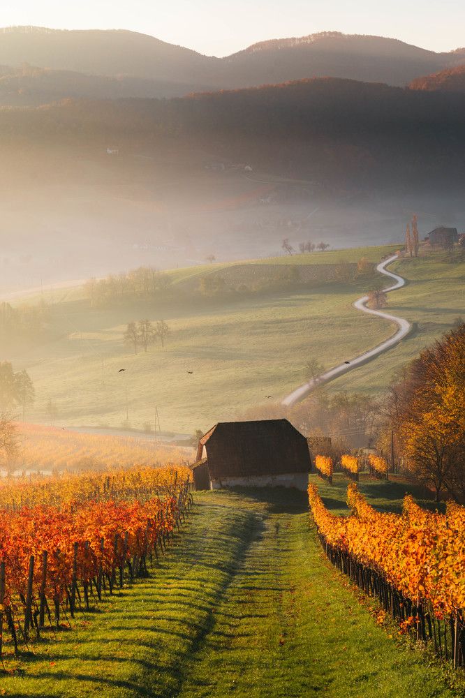 Photograph by Amadeja Knez