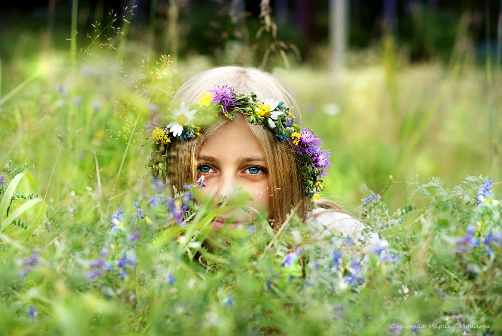 Photo #5685493