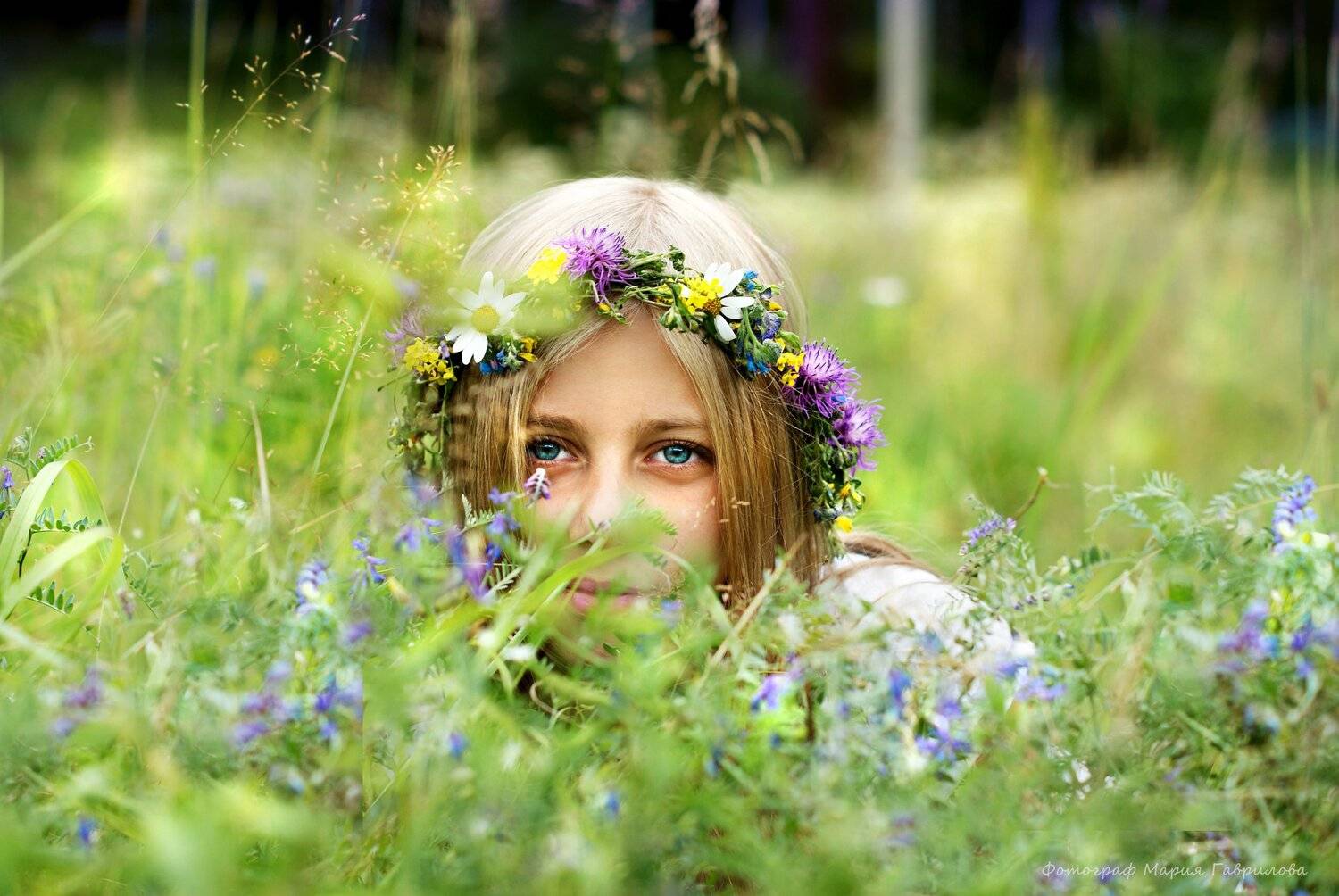 Photo #5685493