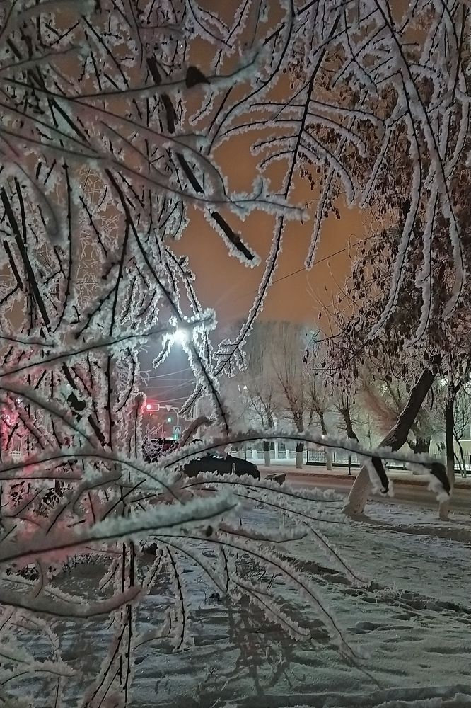 Photograph by Irina Nazarova