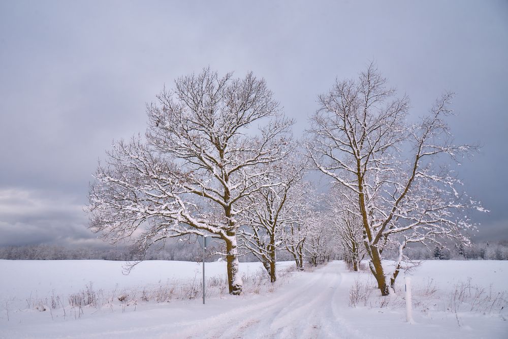 Photograph by Alla Matrosova