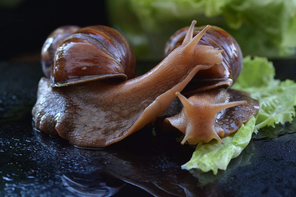 Photograph by Irina Nazarova