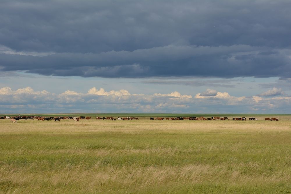 Photograph by Irina Nazarova