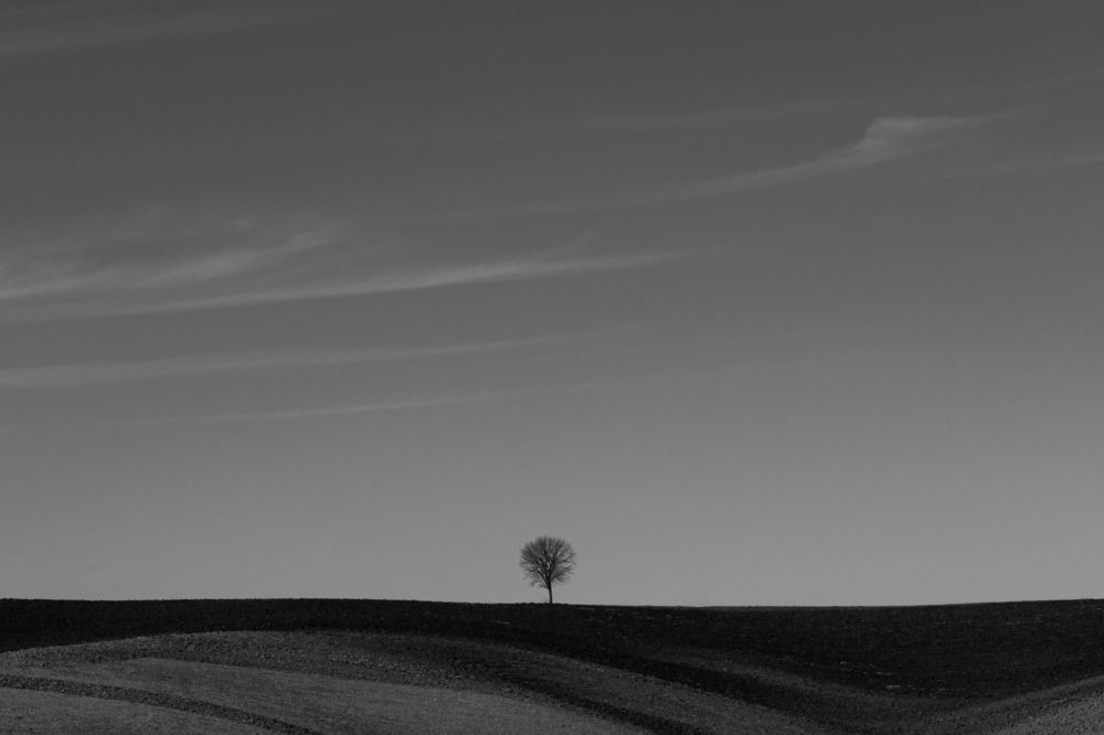 Photograph by Zakarya Ghazizadeh