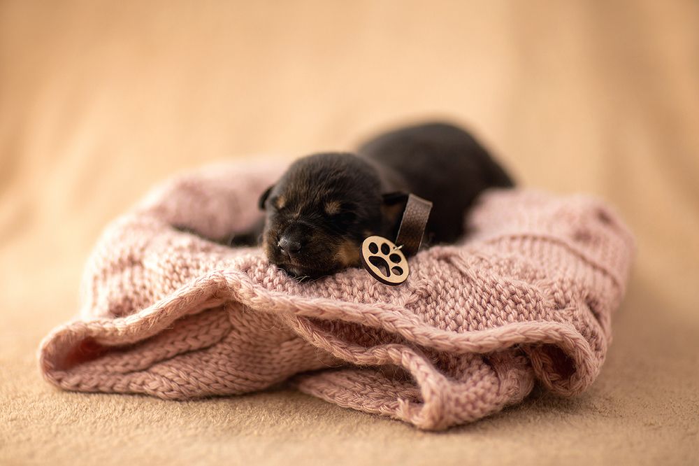 Photograph by Александр Шульга