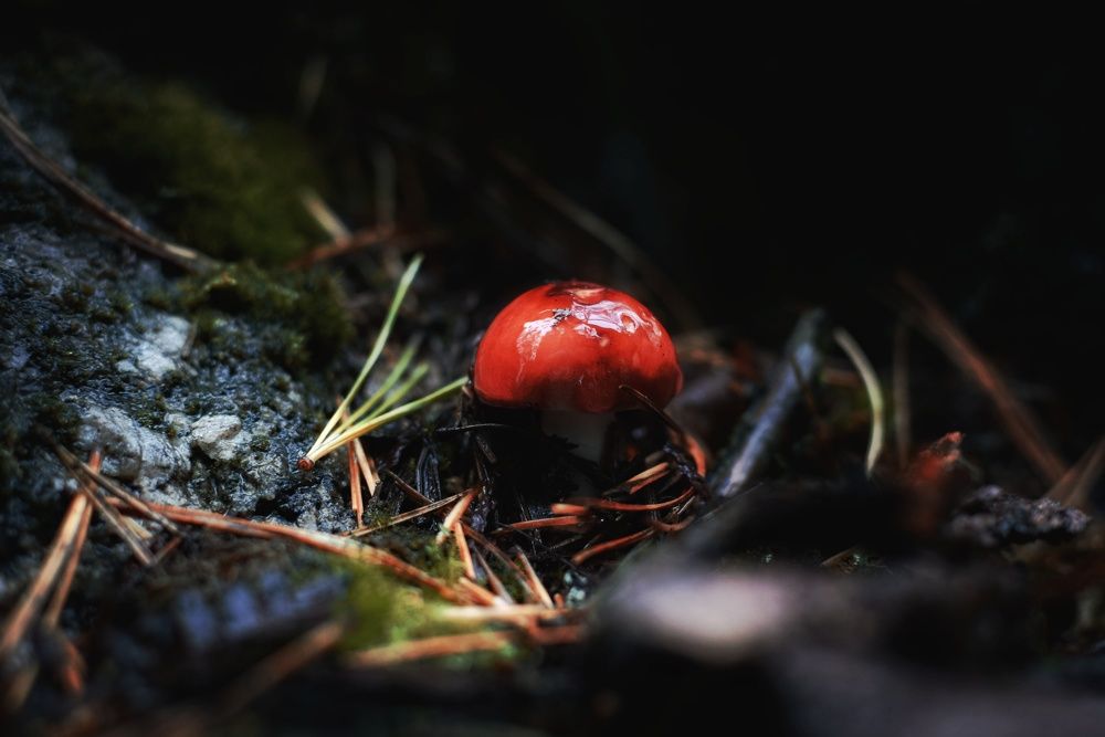 Photograph by Амир Гильмутдинов