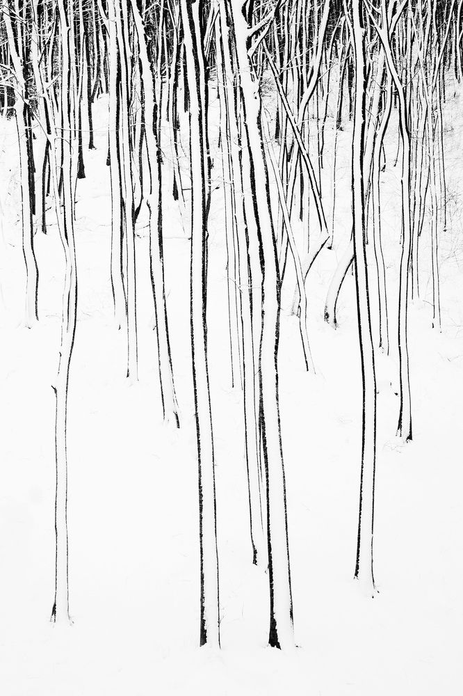 Photograph by Оксана Носкова