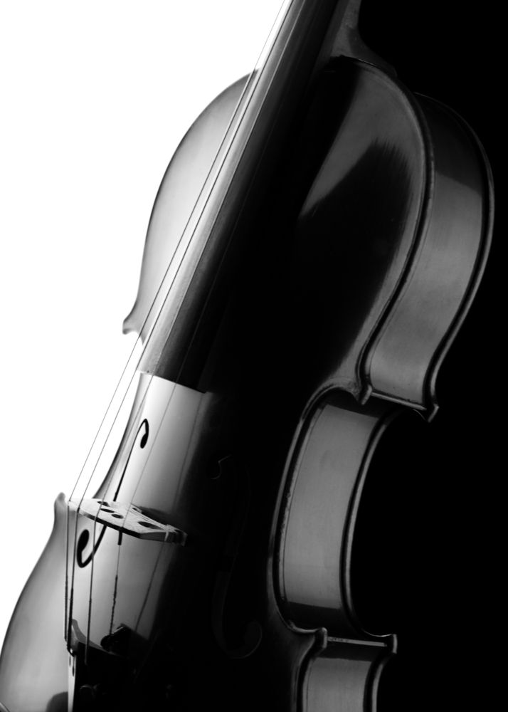 Photograph by Camilo Sarti