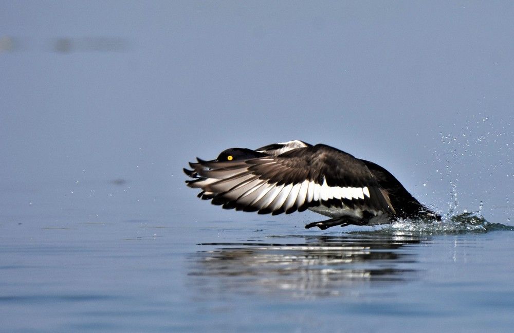 Photograph by Kushal Sharma