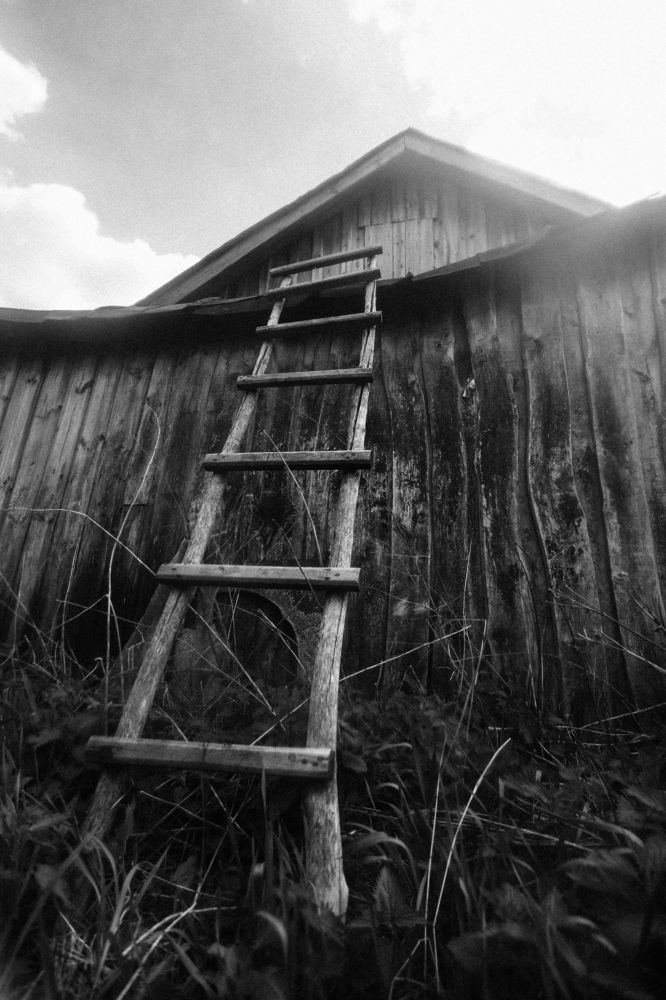 Photograph by Alexandr Tataev