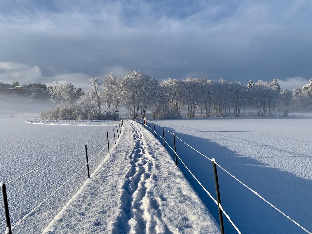 Photograph by Irina Andrienko
