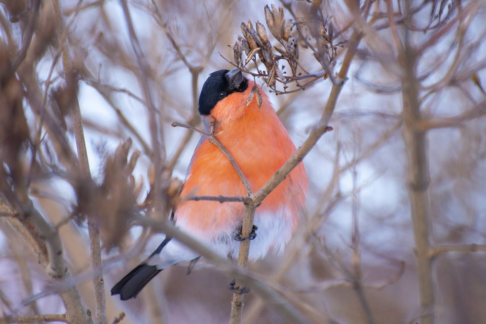 Photograph by Мария Долбич