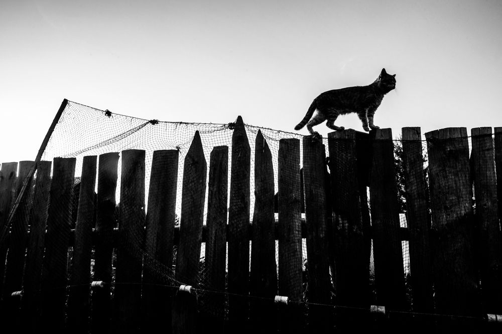 Photograph by Alexandr Tataev