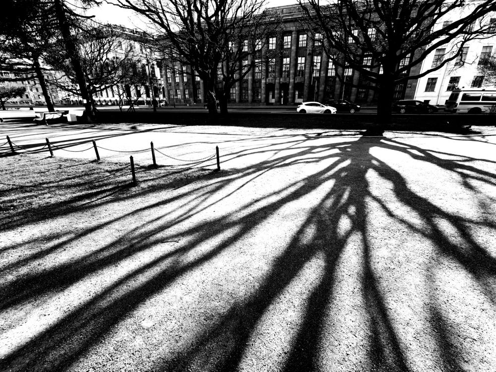 Photograph by Alb Traum