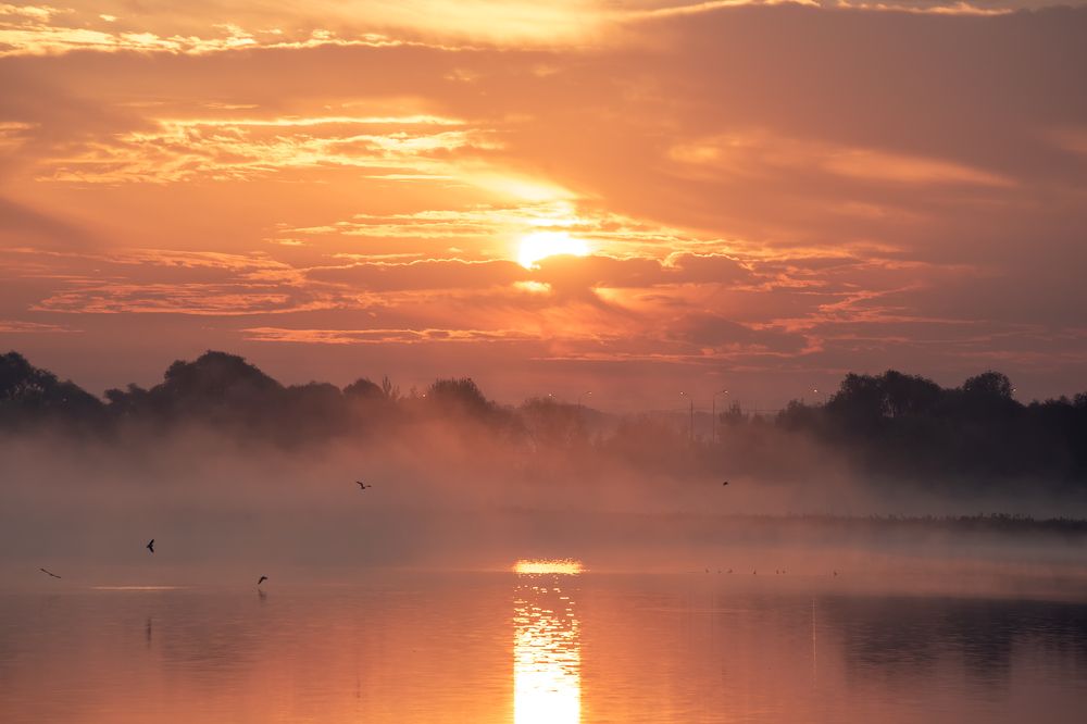 Photograph by Андрей Филатов