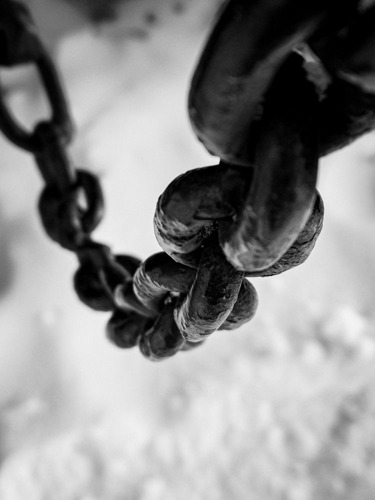 Photograph by Екатерина Зубарева