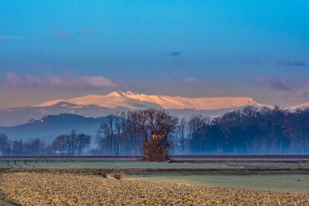 mountains in the distance