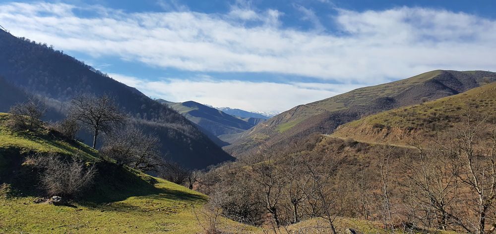 Photograph by Mikail Qasanov