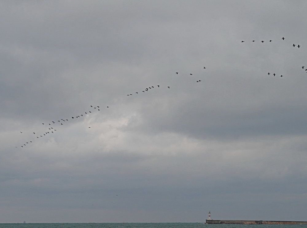 Photograph by Виктор Косюк