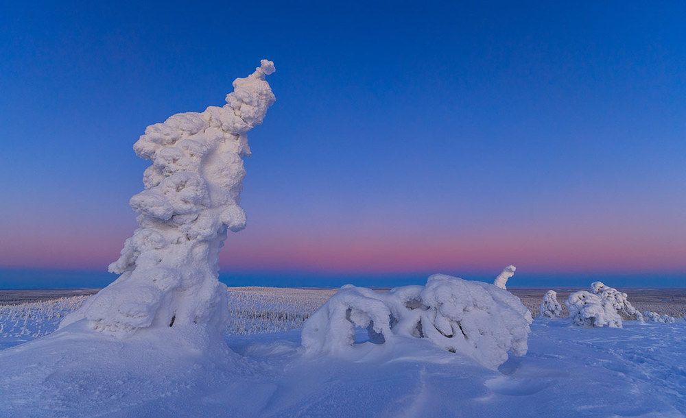 На вечерней прогулке.