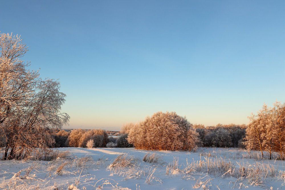 Photograph by Ксения Дубинина