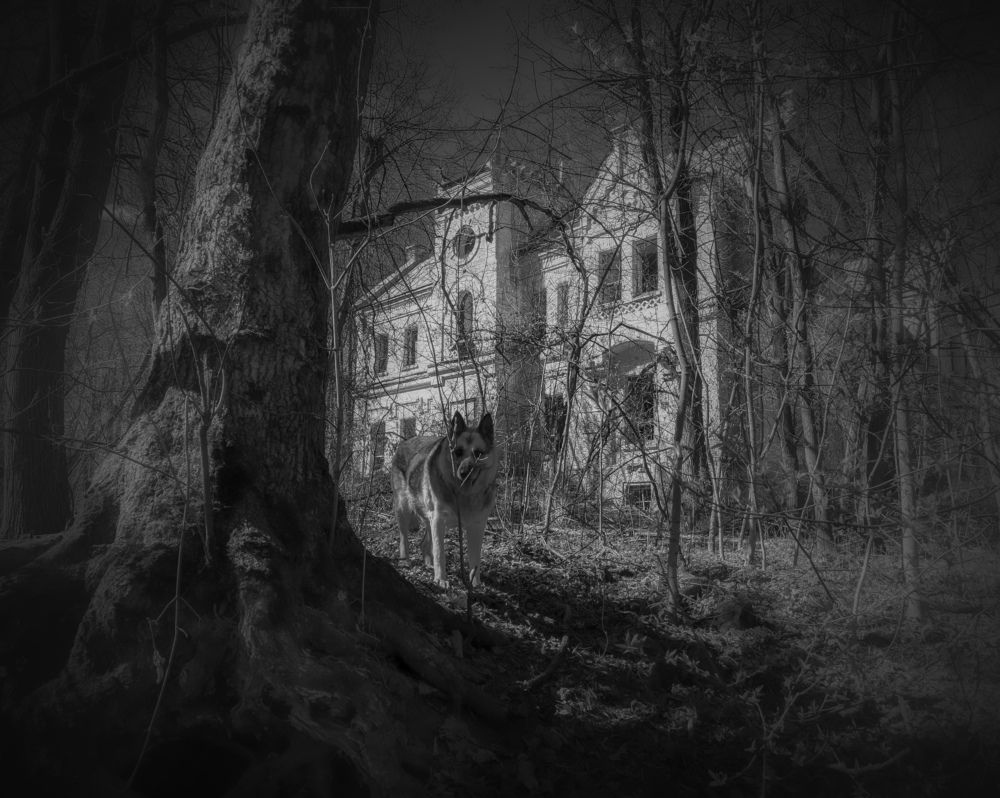 Photograph by Светлана Кондрашова