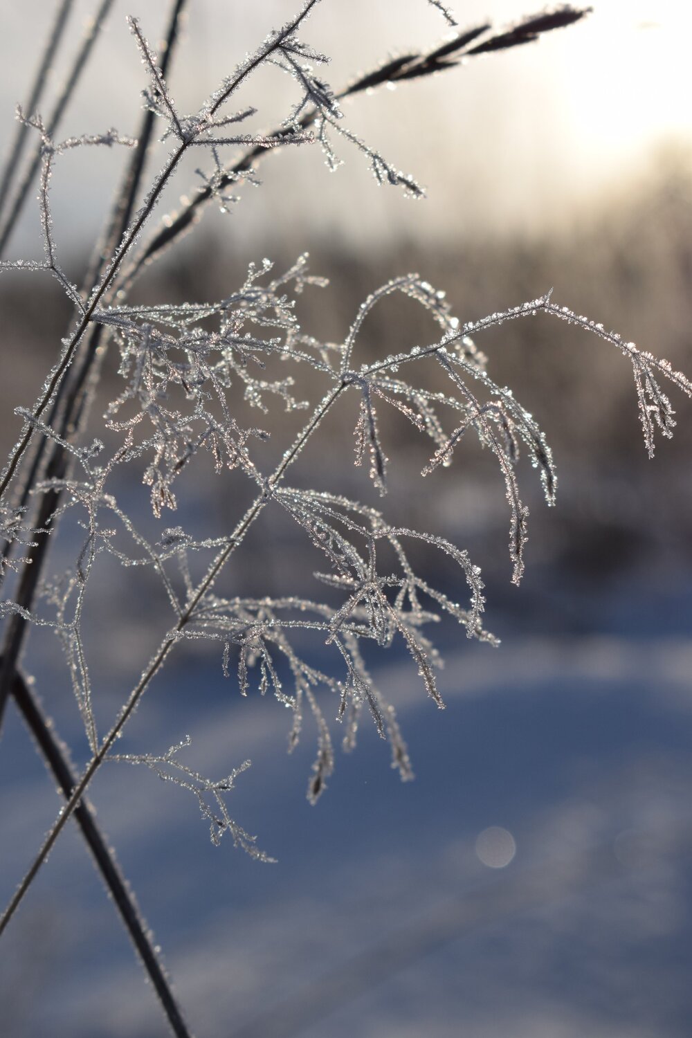 Photo #5686158