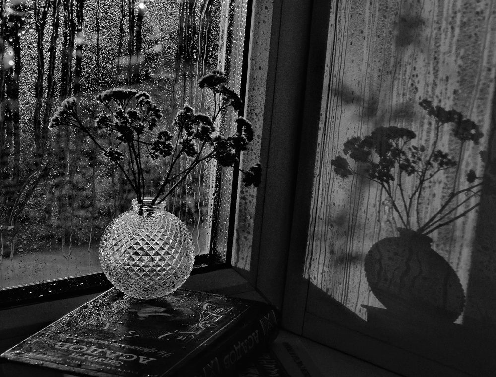 Photograph by Елена Савина