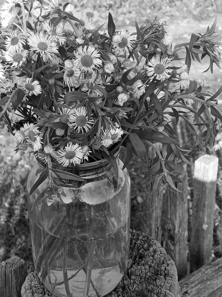 Photograph by Дарья Ващенко-Панкина