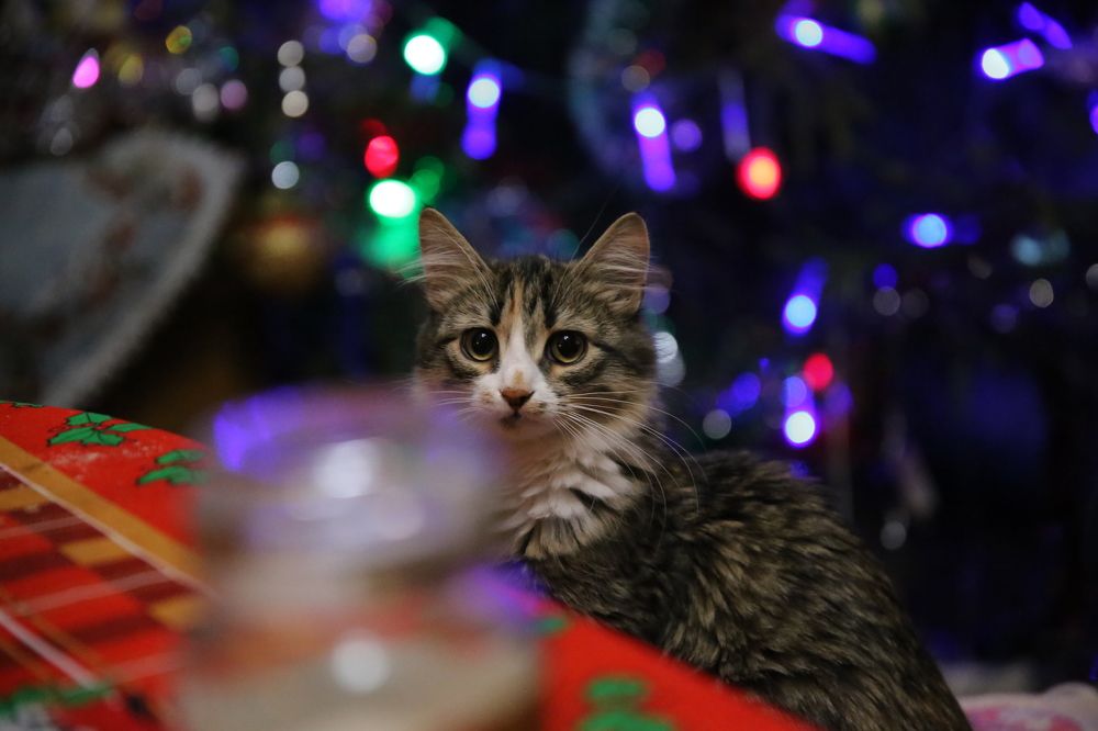 Photograph by Инна Юдина