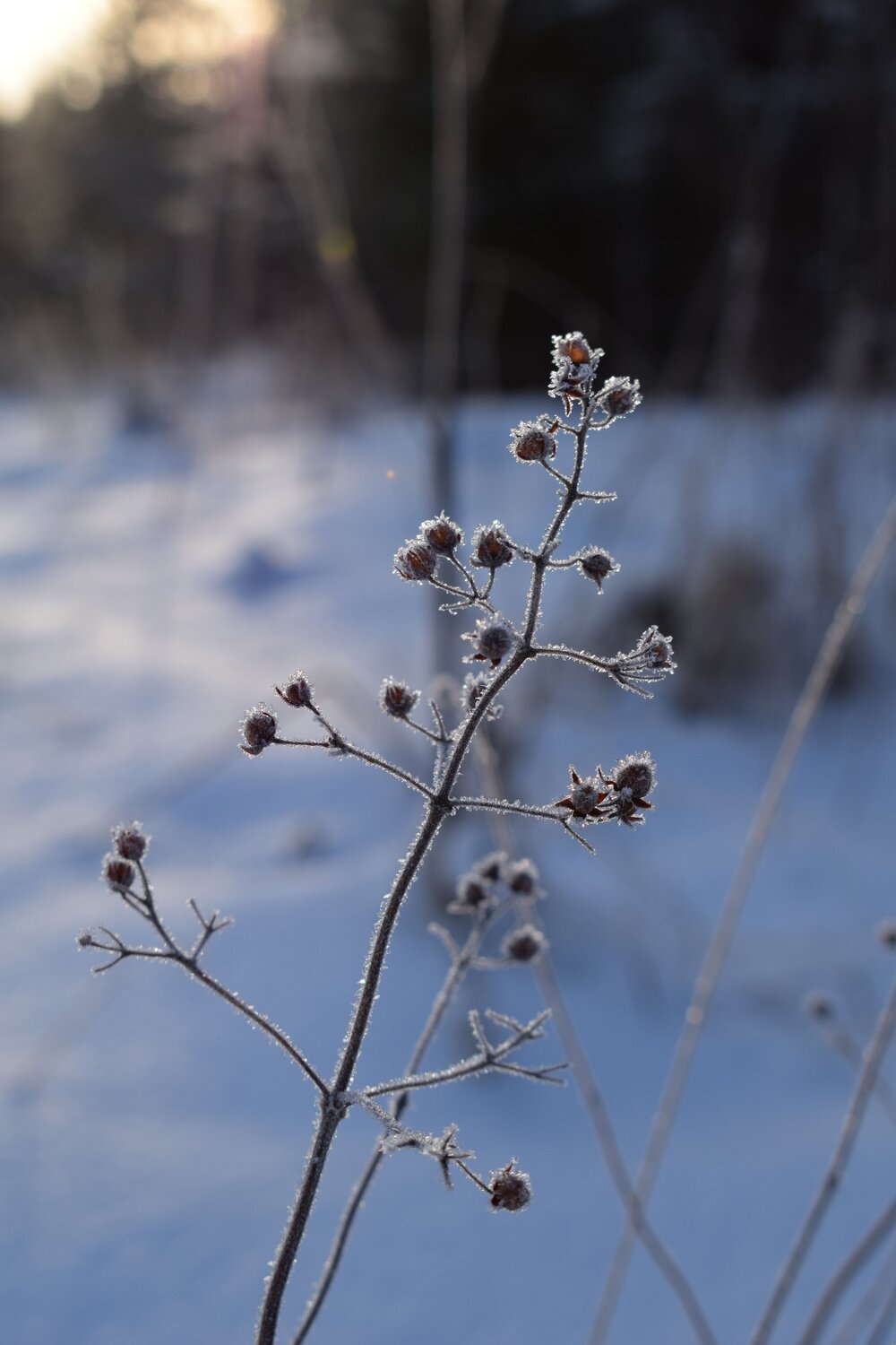 Photo #5686221