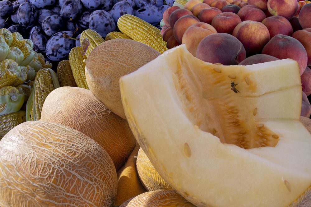 Photograph by Сергей Табатчиков