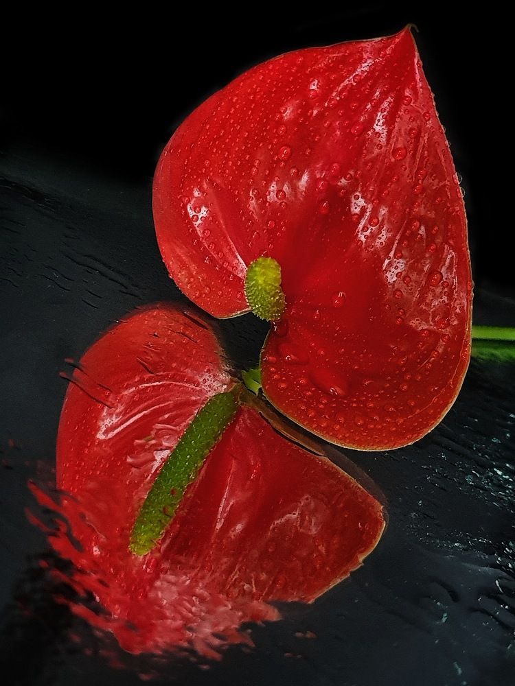 Photograph by Ирина Змитрович