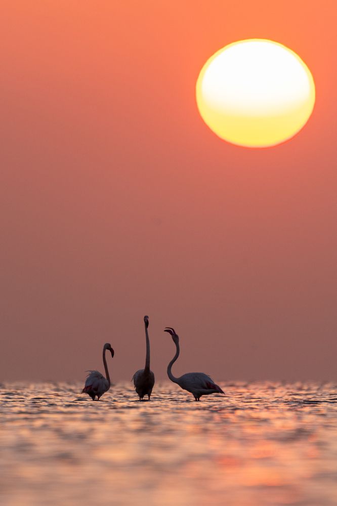 Photograph by Sunil Dhar