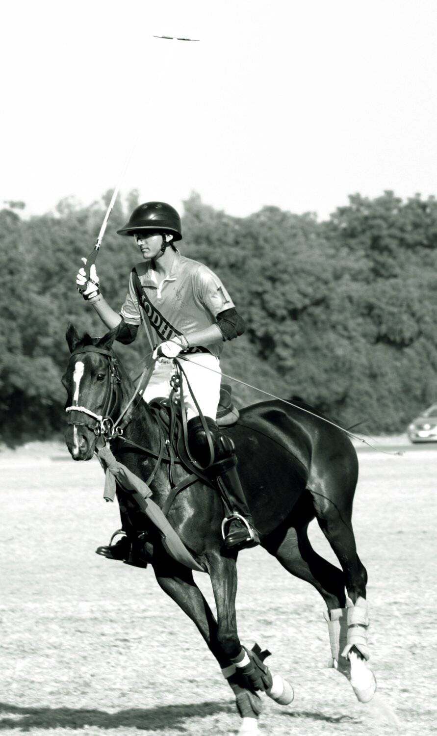 Photo #5686288