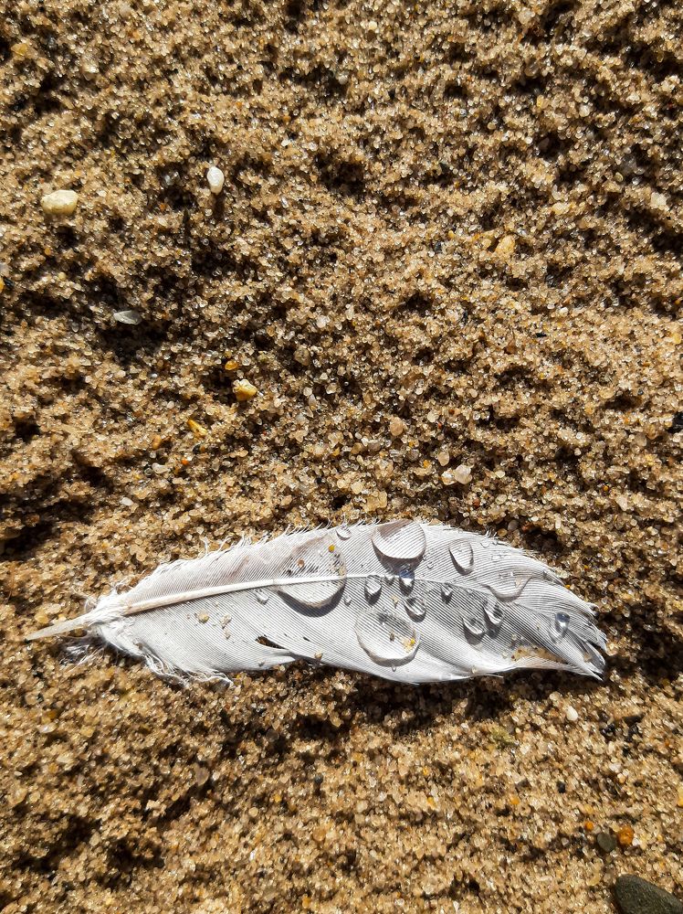 Photograph by Мария Глотова