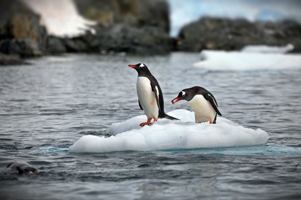 Камушек для любимой