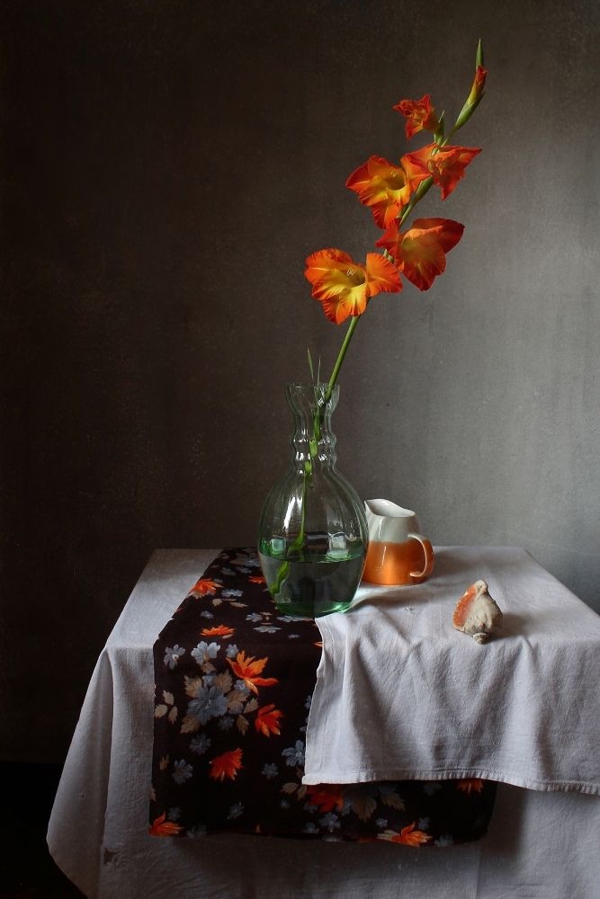 Photograph by Курочкина Диана